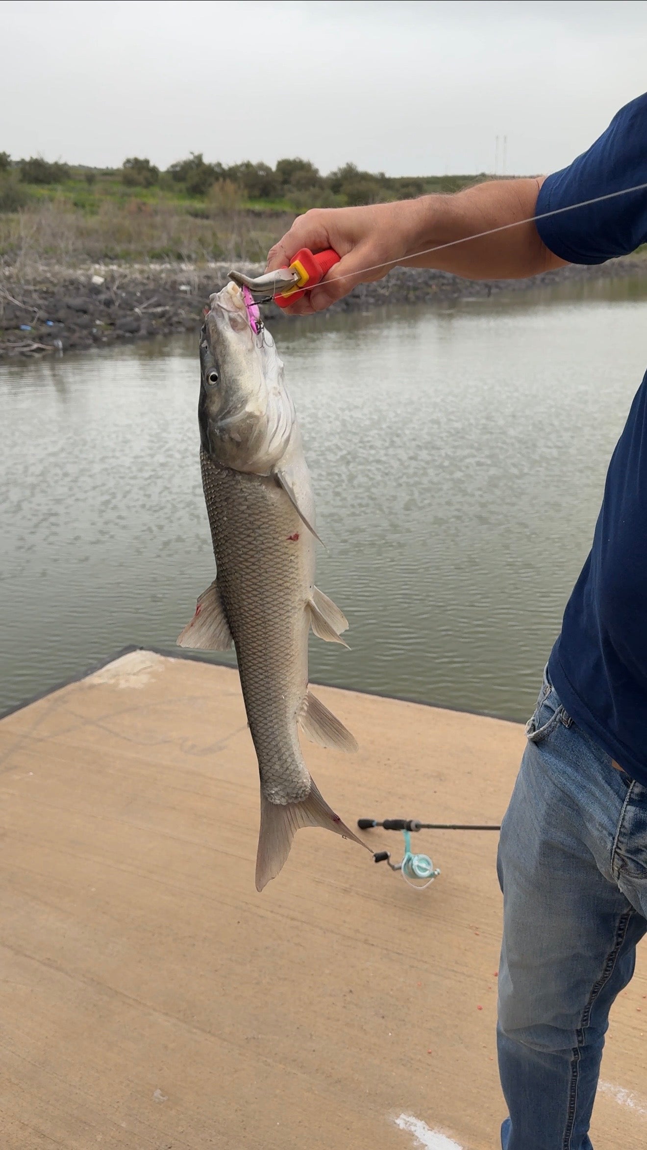 VibeCatch Elite: Pro-Vibration Sinking Lure