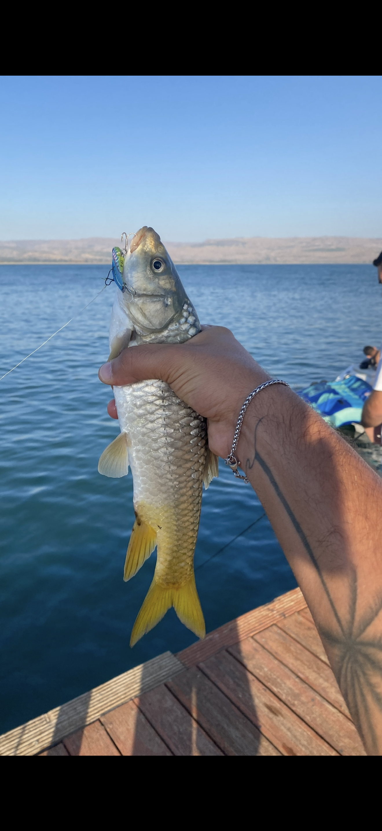 VibeCatch Elite: Pro-Vibration Sinking Lure