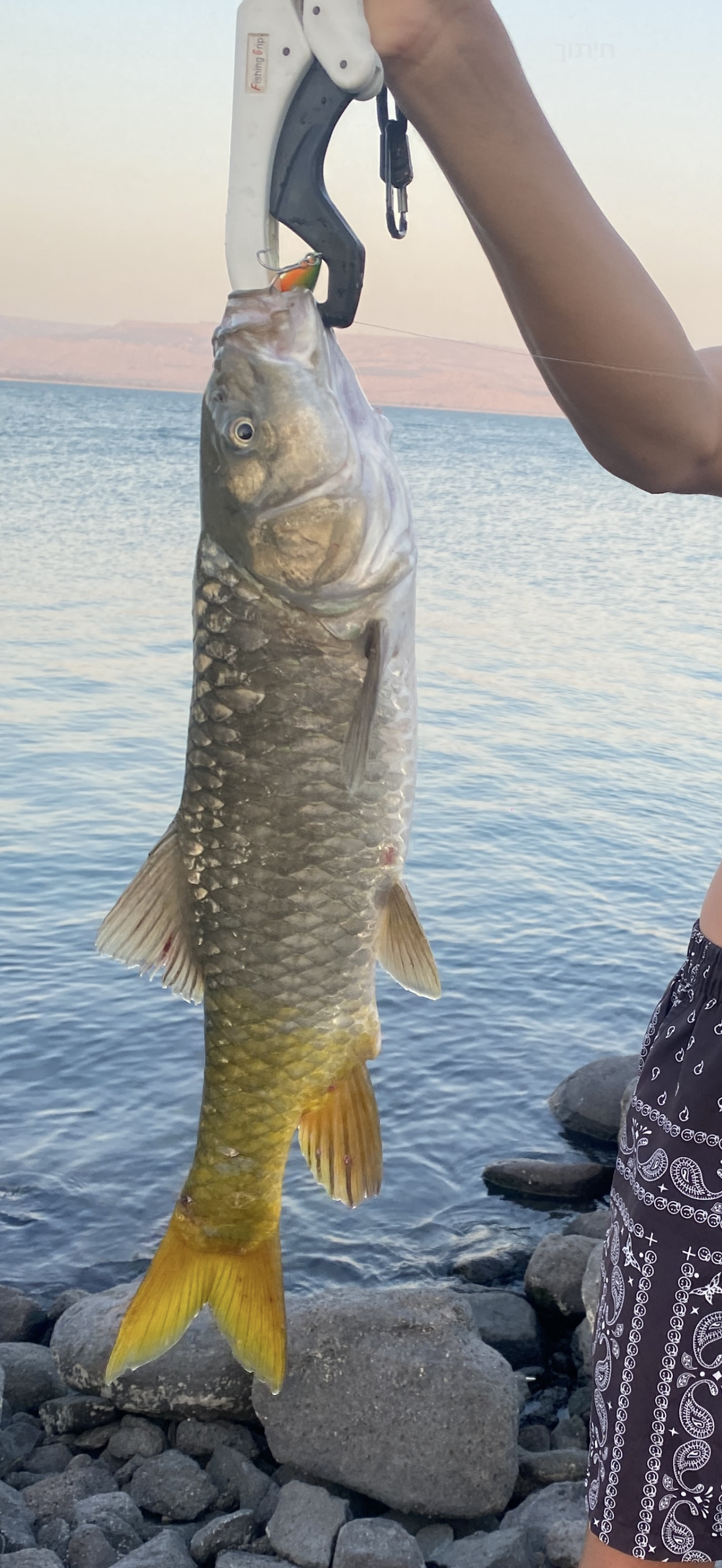 VibeCatch Elite: Pro-Vibration Sinking Lure